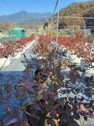 김경자님의 자유주제 · 자유게시판 작성글 사진