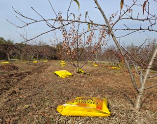 철남 김희곤님의 자유주제 · 자유게시판 작성글 사진