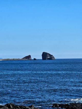 제주 지안이네농장님의 자유주제 · 자유게시판 작성글 사진