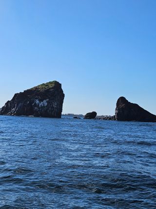 제주 지안이네농장님의 자유주제 · 자유게시판 작성글 사진