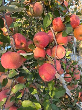 최동구님의 자유주제 · 자유게시판 작성글 사진