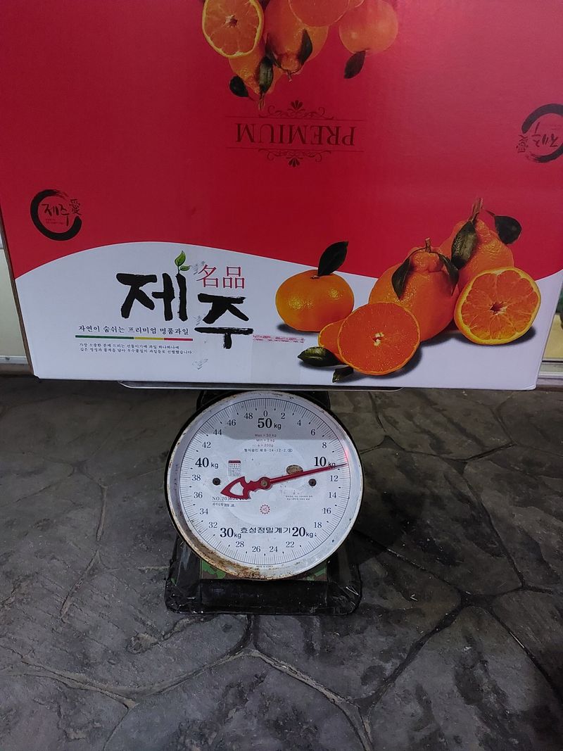 성민감귤농원님의 장터 판매 상품 [노지감귤] 첨부 사진