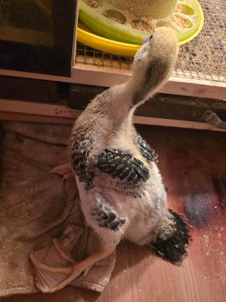 노아님의 자유주제 · 자유게시판 작성글 사진