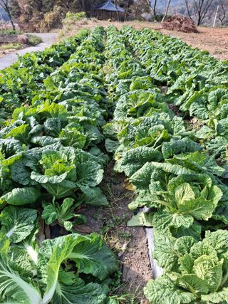 이병찬님의 자유주제 · 자유게시판 작성글 사진