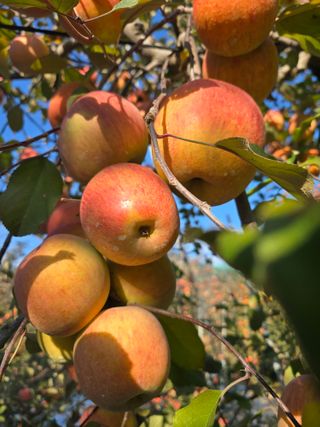 최동구님의 자유주제 · 자유게시판 작성글 사진