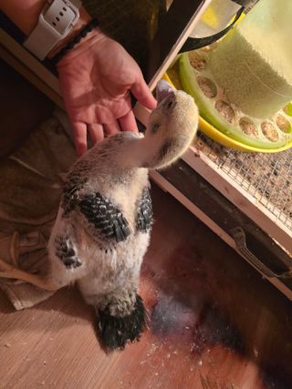 노아님의 자유주제 · 자유게시판 작성글 사진