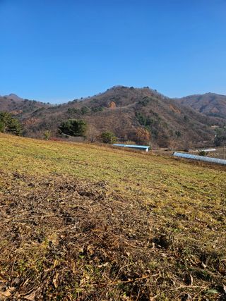 홍천산채농원님의 자유주제 · 자유게시판 작성글 사진