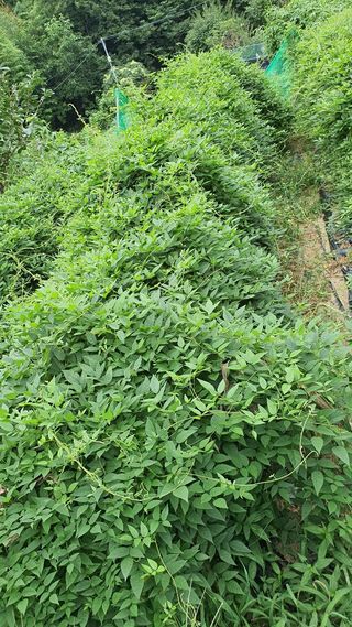 오다가다님의 작성글 사진