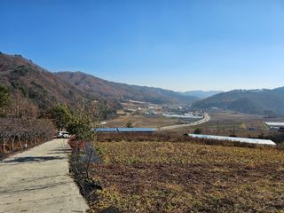 홍천산채농원님의 자유주제 · 자유게시판 작성글 사진