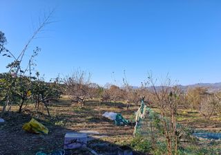 철남 김희곤님의 자유주제 · 자유게시판 작성글 사진