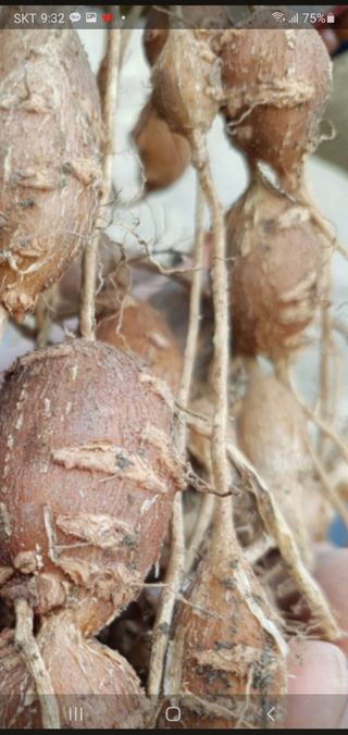 오다가다님의 작성글 사진