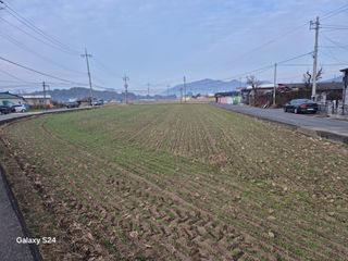 사천시향촌동 돼지띠님의 자유주제 · 자유게시판 작성글 사진