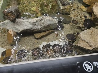 김영진(전남영광)님의 자유주제 · 자유게시판 작성글 사진