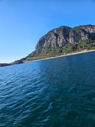 제주 지안이네농장님의 자유주제 · 자유게시판 작성글 사진