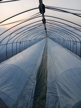 팜모닝 · 게시글 이미지