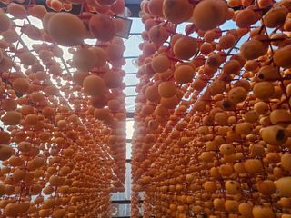 백용기님의 자유주제 · 자유게시판 작성글 사진