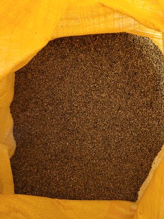 독고다이님의 작성글 사진