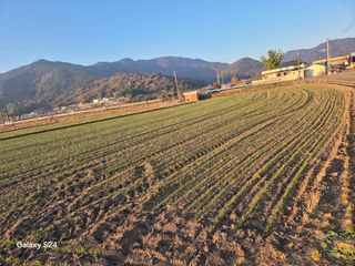 사천시향촌동 돼지띠님의 자유주제 · 자유게시판 작성글 사진