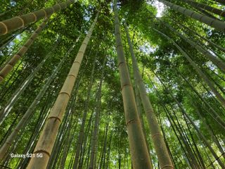 김선오6251556님의 자유주제 · 자유게시판 작성글 사진