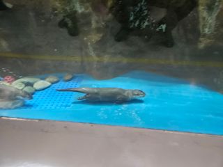 김영진(전남영광)님의 자유주제 · 자유게시판 작성글 사진