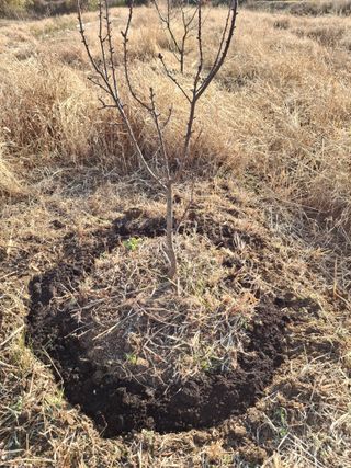이병찬님의 자유주제 · 자유게시판 작성글 사진