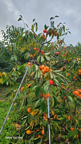 멋진인생님의 작성글 사진