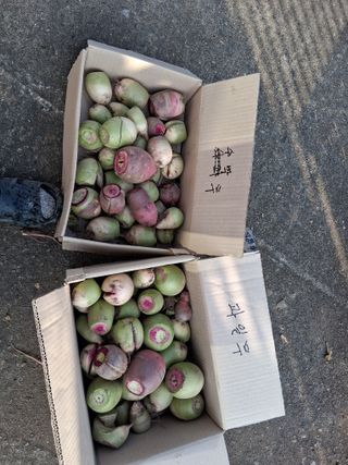 홍순현님의 자유주제 · 자유게시판 작성글 사진