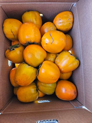 이재관(황토속애)님의 작성글 사진