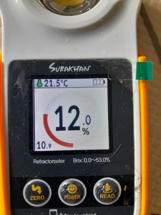 대정골귤꽃농원님의 작성글 사진