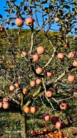 팜모닝 · 게시글 이미지