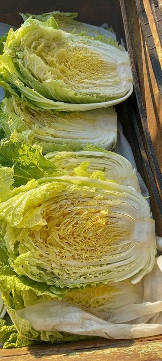 김대현(청솔)님의 자유주제 · 자유게시판 작성글 사진