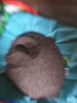 우리네농장님의 자유주제 · 사진전 작성글 사진