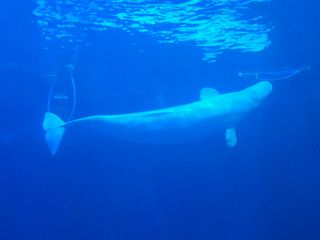 김영진(전남영광)님의 자유주제 · 자유게시판 작성글 사진