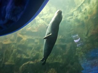 김영진(전남영광)님의 자유주제 · 자유게시판 작성글 사진