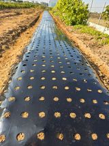 팜모닝 · 게시글 이미지