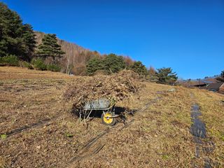 홍천산채농원님의 자유주제 · 자유게시판 작성글 사진