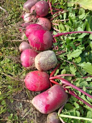 이병찬님의 자유주제 · 자유게시판 작성글 사진