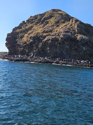 제주 지안이네농장님의 자유주제 · 자유게시판 작성글 사진