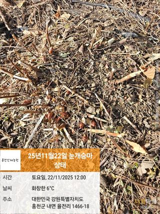 홍천산채농원님의 자유주제 · 자유게시판 작성글 사진