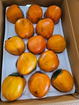 팜모닝 · 게시글 이미지