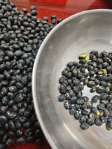 팜모닝 자유주제·자유게시판 게시글 이미지