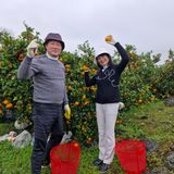 팜모닝 자유주제·자유게시판 게시글 이미지