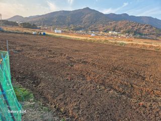 사천시향촌동 돼지띠님의 자유주제 · 자유게시판 작성글 사진