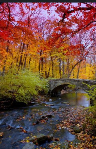 인생은 소풍처럼님의 자유주제 · 자유게시판 작성글 사진