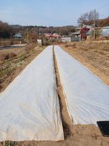 팜모닝 자유주제·자유게시판 게시글 이미지