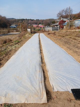 상원(尙沅)님의 자유주제 · 자유게시판 작성글 사진