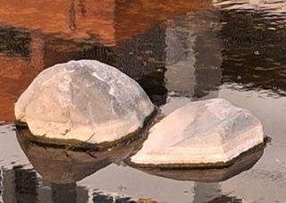 MSG0074님의 자유주제 · 자유게시판 작성글 사진