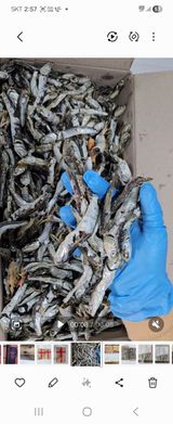 팜모닝 · 게시글 이미지