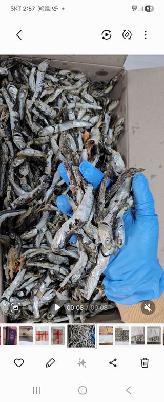 이미경님의 작성글 사진