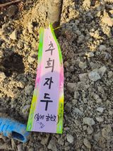 팜모닝 자유주제·자유게시판 게시글 이미지